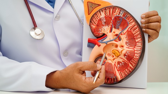 Advanced Dialysis & Kidney Care in Hanamkonda