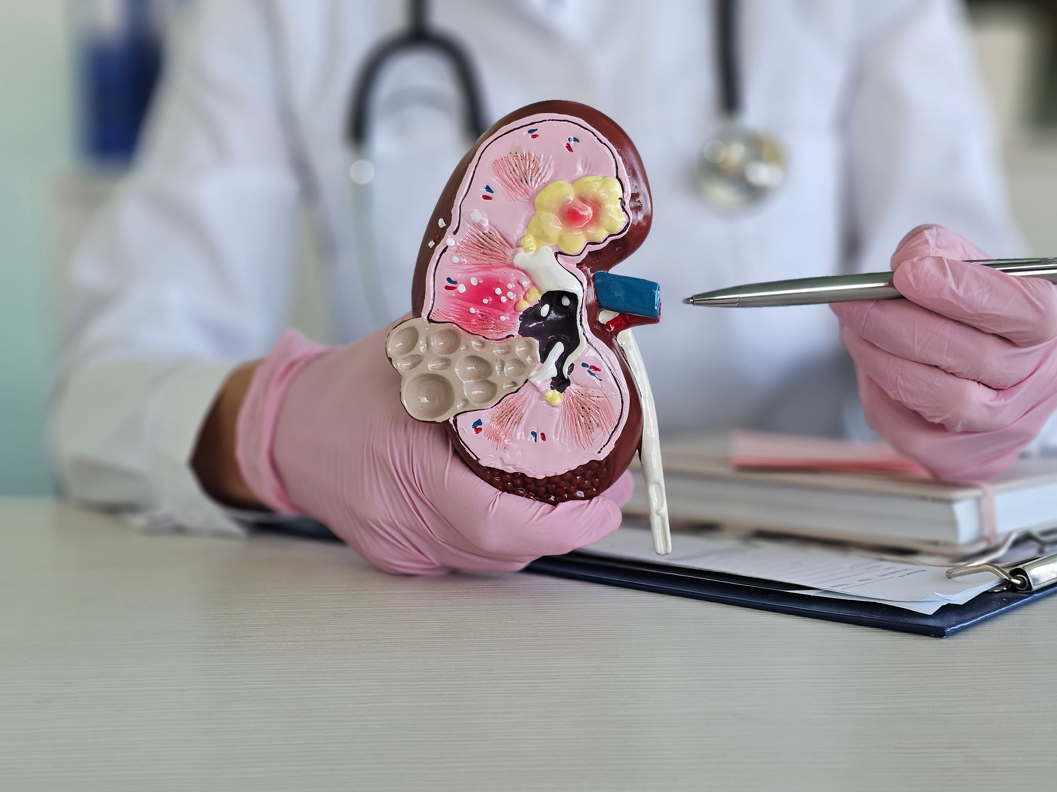 Early Kidney Diagnosis