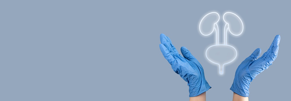 Kidney and bladder health in women