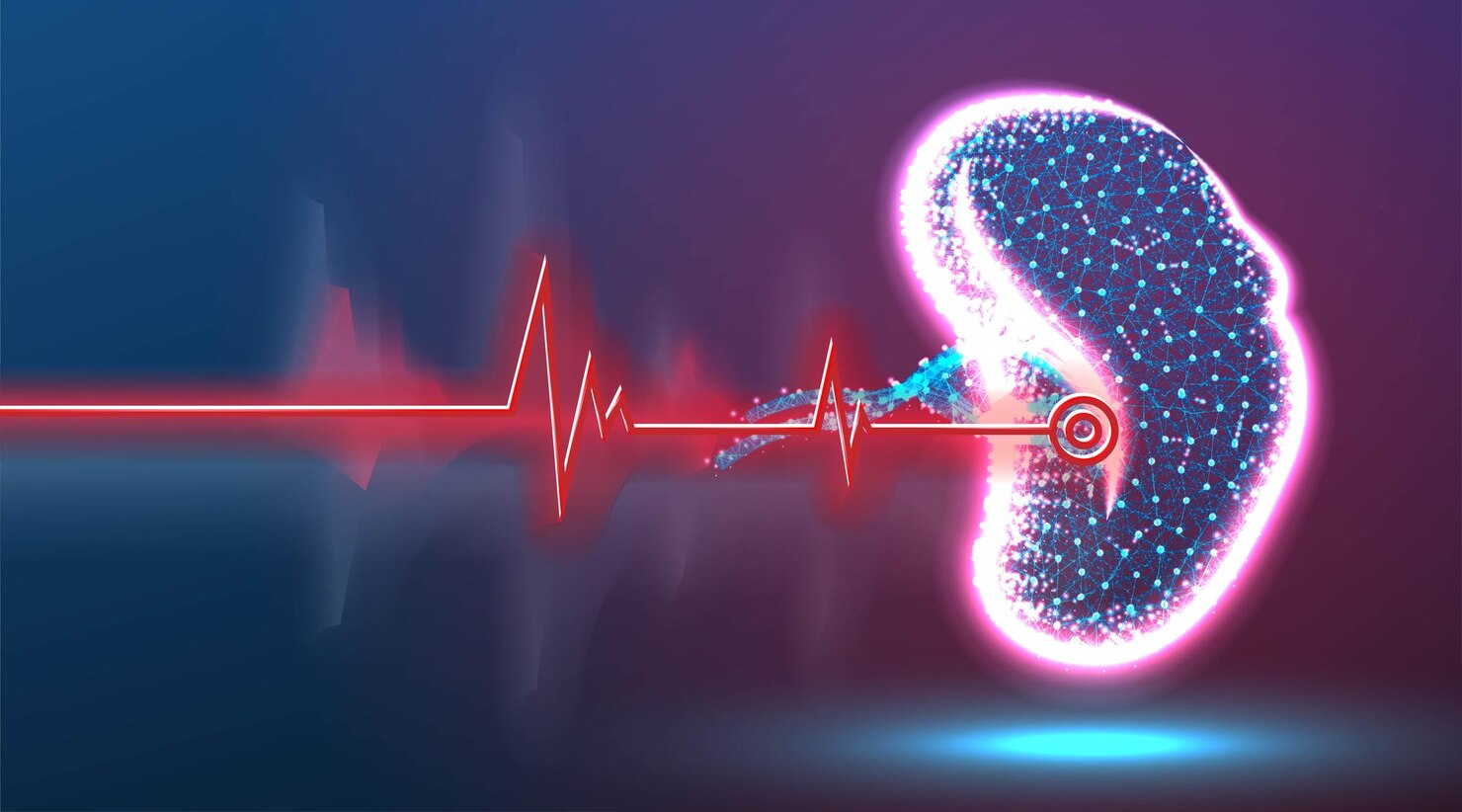 Nephrology Care and Specialized Monitoring