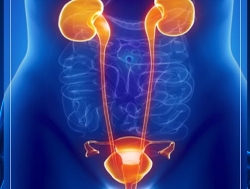 Female Urology Bladder Care