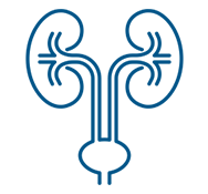 Urology treatment